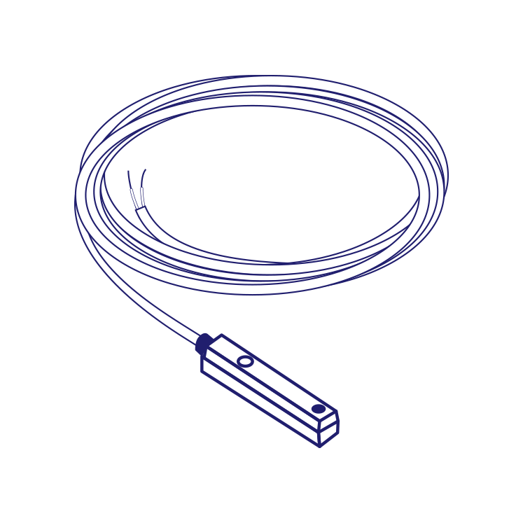 API ASV1C51K Reed Switch